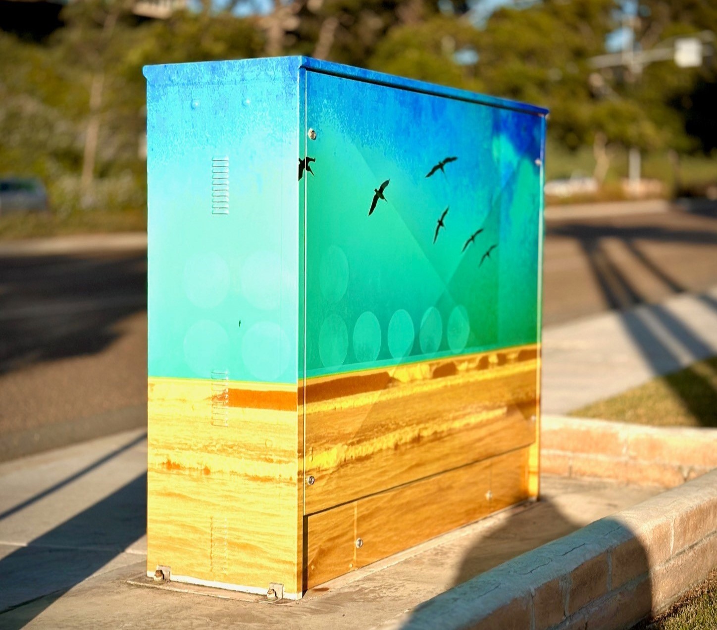 Utility Box Artwork Installations Solana Beach